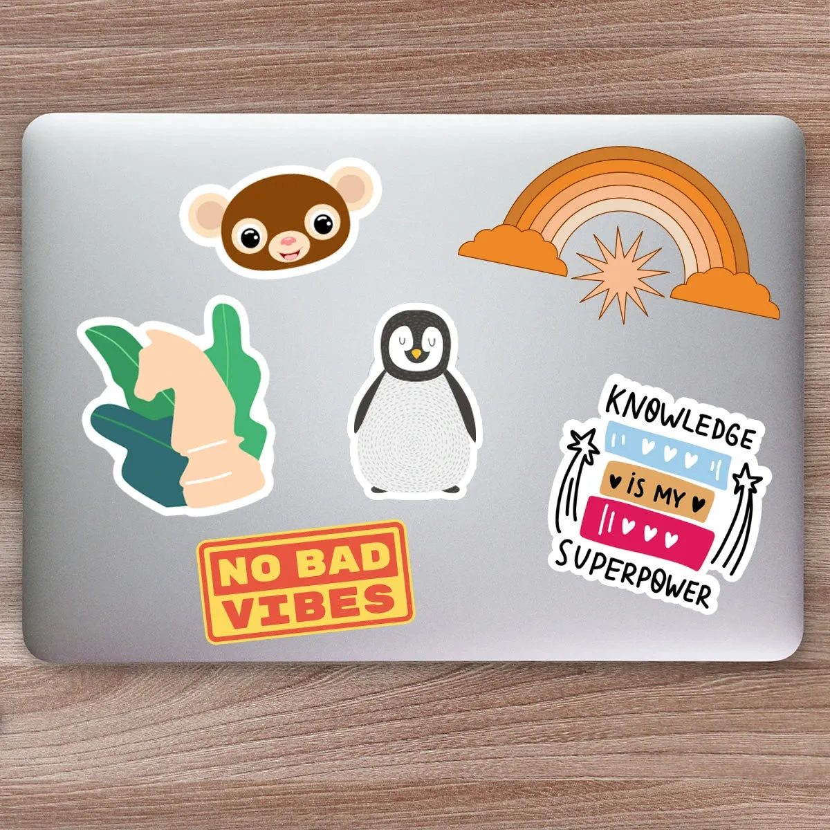 Laptop Stickers