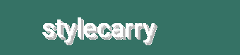 Trendy Handbags, Laptop Accessories, And Travel Organizers